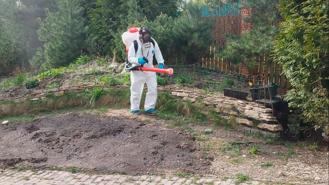 Уничтожение клещей на участке в Электрогорске